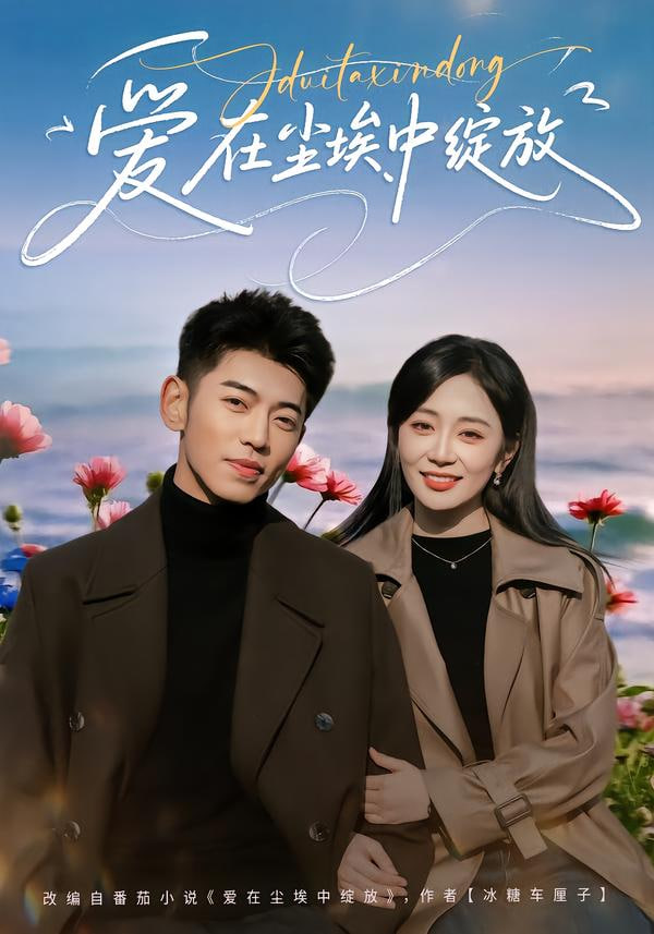 南来北往